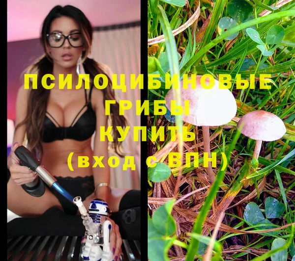 альфа пвп Наволоки