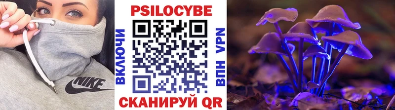 OMG ссылки  Махачкала  Псилоцибиновые грибы прущие грибы  цены  